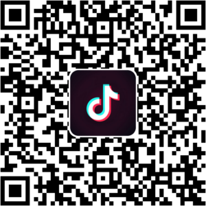 抖音小程序